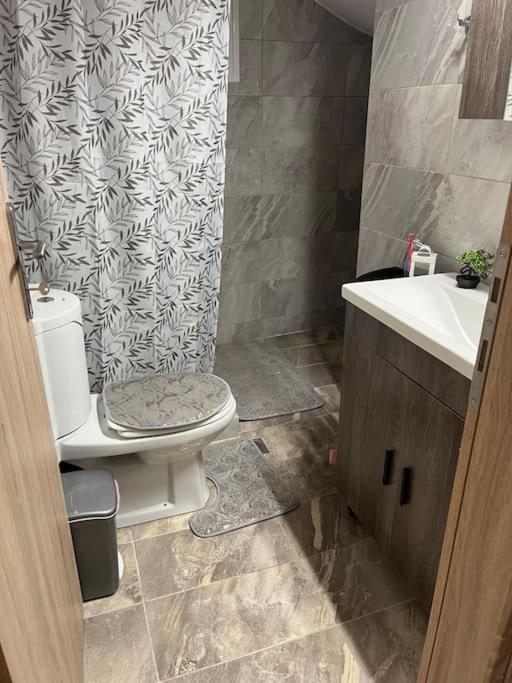 Apartment Elena S *